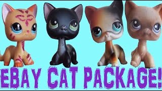 Ebay Short Hair Cat's Package!