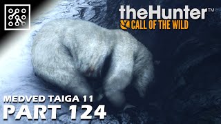 The Hunter: Call of the wild CZ | Nejvzácnější medvěd ve hře - #124 | Lets play | Česky