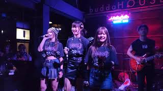 รักแท้ดูแลไม่ได้ - HatoBito 2/6/24 Music Bar Believe/Not Party @ BuddaHOUSE