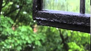 The Rain - Darin Sysoev @classicalmusic1175