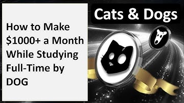 How to Make $1000+ a Month While Studying Full-Time by DOG | Cats and Dogs New Video Code