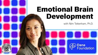 Emotional Brain Development with Nim Tottenham, Ph.D.