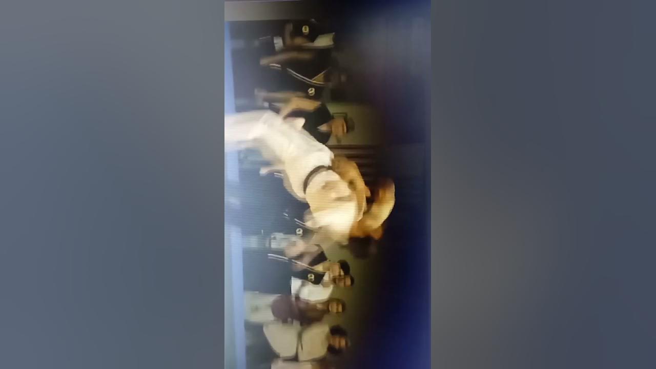 Ястреб💪😎 - YouTube