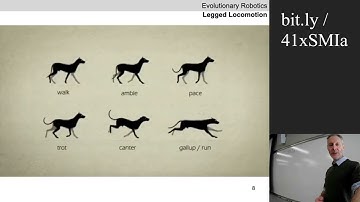 2025 Evolutionary robotics course. Lecture 16. Bipedal locomotion.