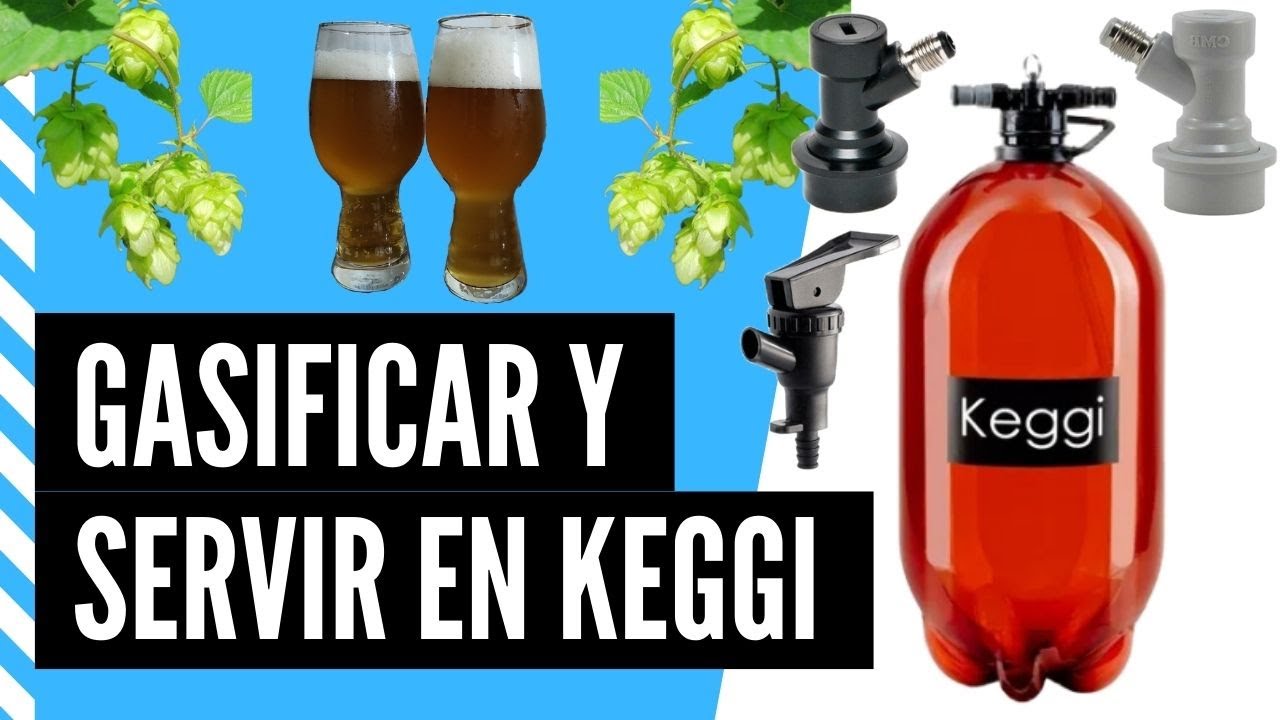 Gasificar y servir cerveza desde barril Pet Keggi, Cerveza artezanal Saga
