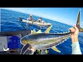 Schooling the sharks to catch a Monster yellowfin tuna | Catch Clean Cook | Penn Spin fisher 6