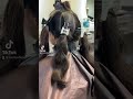 Follow on all social media platforms! #subscribe #hairstyle #follow #viral