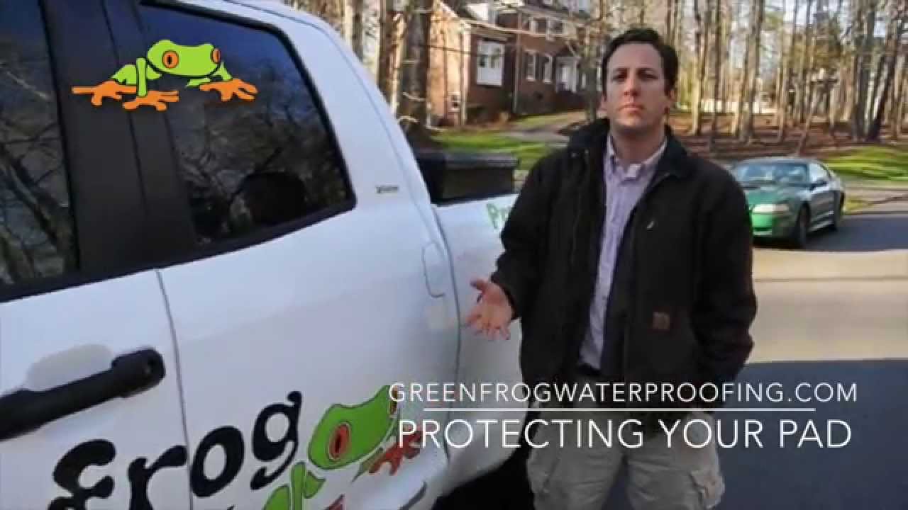 Welcome to the Green Frog Channel - YouTube
