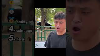 Boy Makes Animal Sounds… Animals Copy Him Back! 😲🐴🐶 #shortvideo