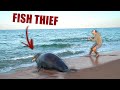 ENORMOUS 700lb SEAL SNATCHES MY FISH!! (Beach Fishing In Nantucket)