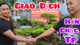 Giao dịch liên tiếp trong buổi Ra Mắt nhà vườn Kiên Bon sai. Tổng hơn chục tp được GD trước giờ KM