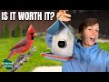 Exclusive FIRST LOOK at the Birdbuddy 2 Smart Bird Feeder!