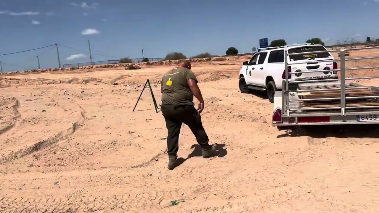 Camperos que paséis un Feliz Martes,vamos a descargar los Palet para los majanos👍😘❤️