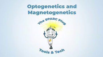 NIH SPARC Program Tools & Tech: Optogenetics And Magnetogenetics (SPARC Plug: Tools & Tech 6)