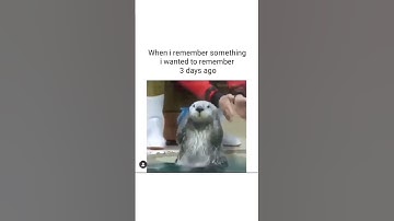 Subscribe @introverthobs ✨.#introvert #introvertmeme #antisocial #shorts #trending
