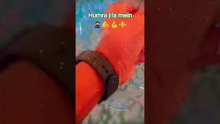 🥷🥷 humraaz #jila mein# rangdari💪💪🫵