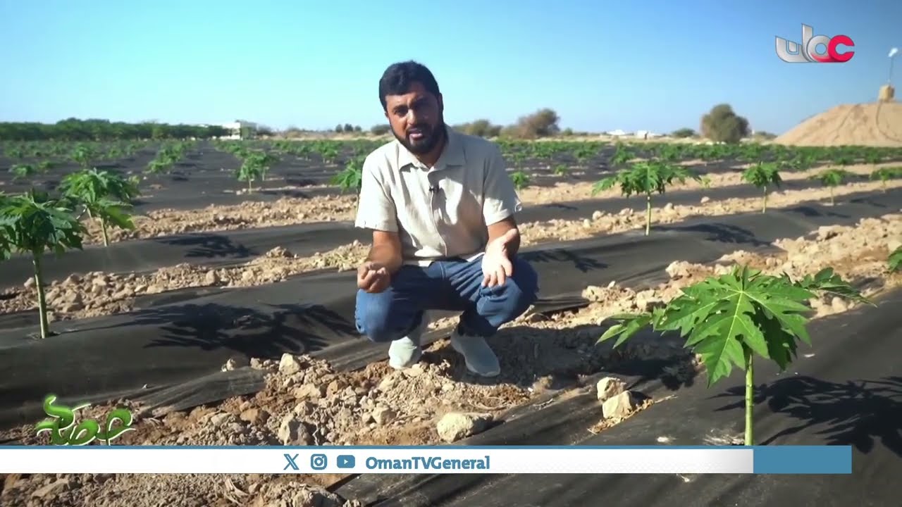 برنامج ⁧#حصاد⁩ | الجمعة 5 يناير 2024م