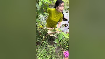 Nấu vịt kho rừng cho cha ăn .Nay cha nói chuyện nhiều hơn rồi ,còn kêu cháu ngoại lại cho kẹo nữa