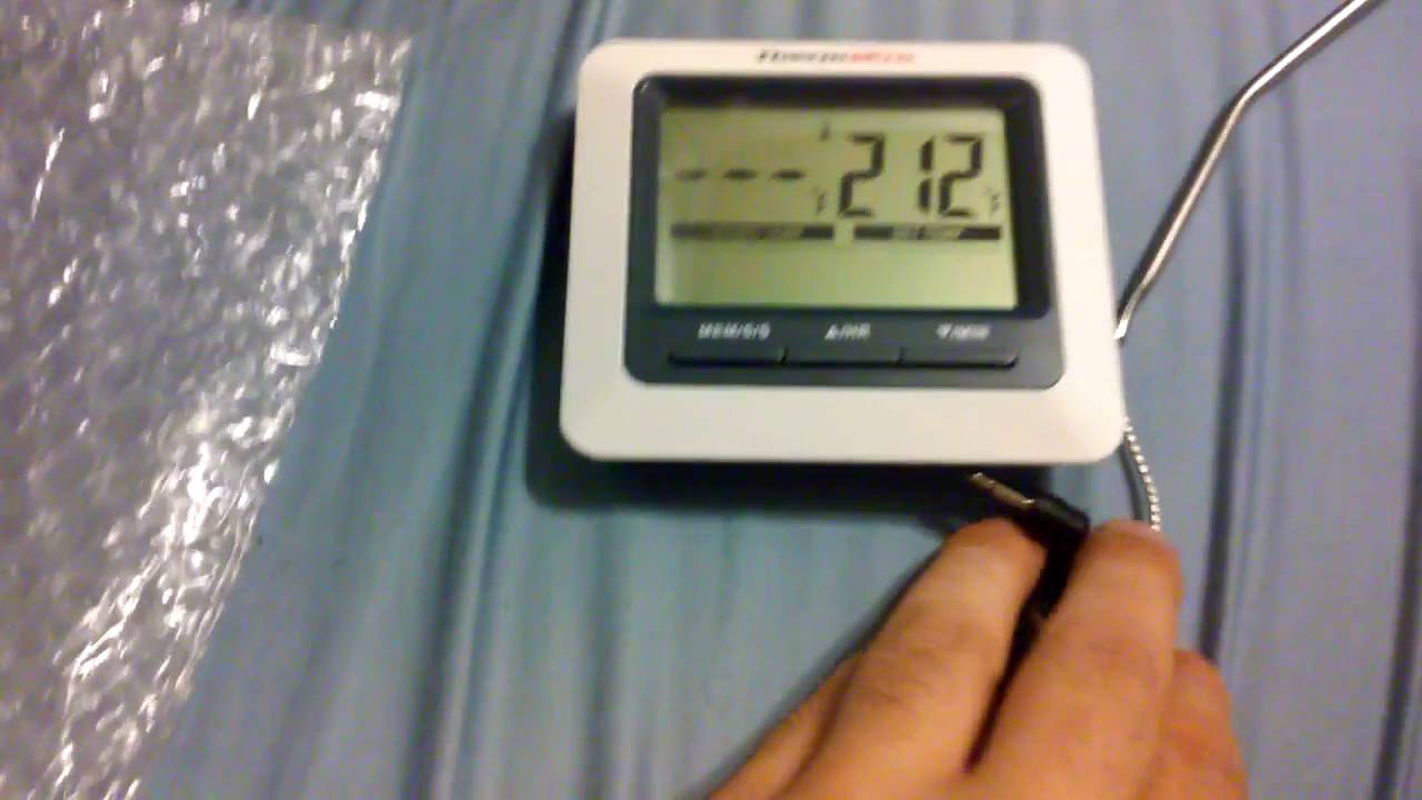 ThermoPro TP-04 Digital Food Thermometer Review