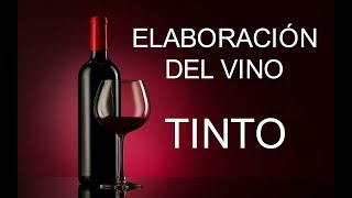 ELABORACIÓN DEL VINO TINTO ✔