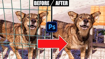 EASILY Remove Fence Using PHOTOSHOP with Simple Steps | Photoshop Tutorial