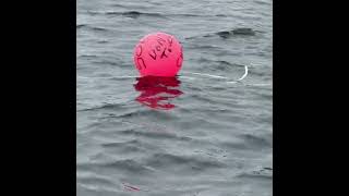 Exercising our aboriginal right (salmon) fishing, Dfo returns my net . 