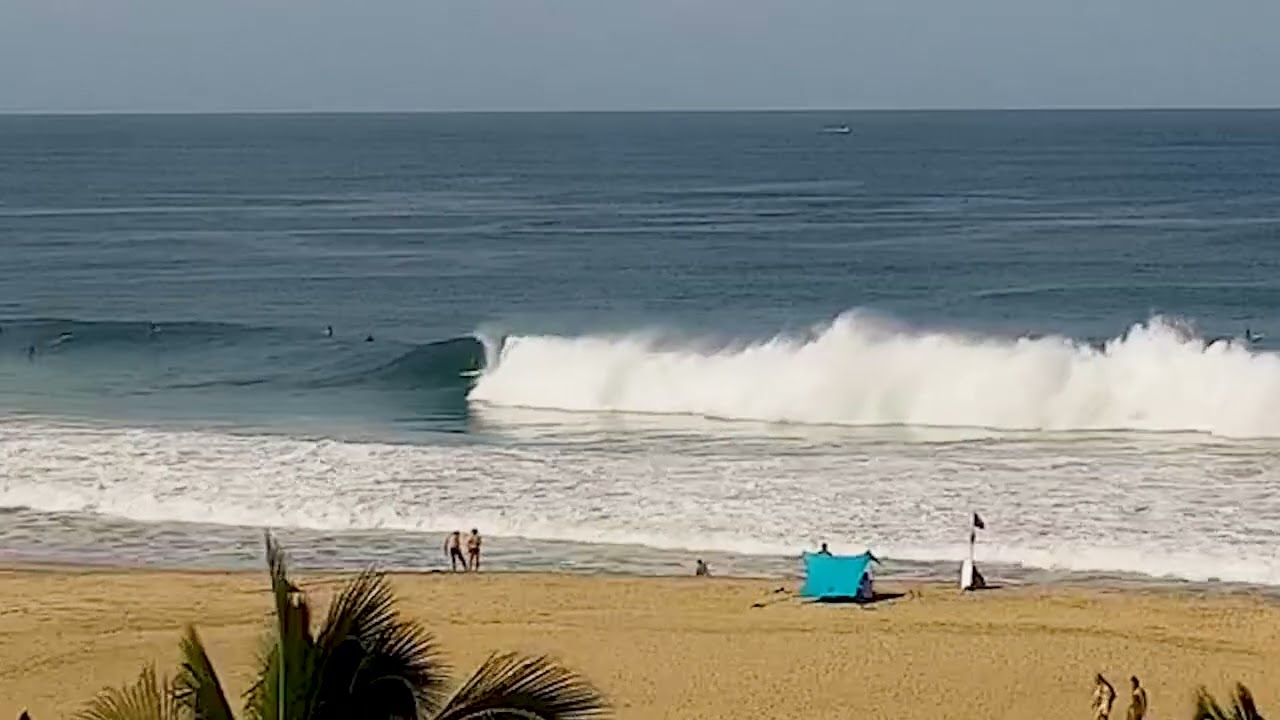 Clips