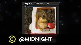 Matthew Gray Gubler, Nick Swardson, Whitney Cummings - Nut Chuggers - @midnight with Chris Hardwick