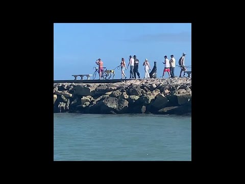 Woman Walks Robot Dog Down Fort Pierce Jetty || ViralHog