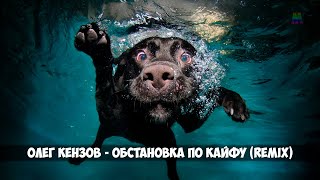 Олег Кензов - Обстановка по кайфу (DJ TOMBLACK Remix)