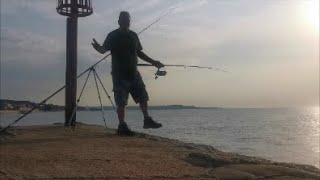 Exe Estuary and Dawlish fishing