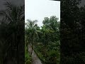 rain in naogaon #music #learning #rain
