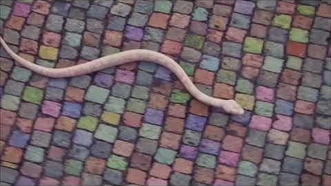 ME! By Taylor Swift but every time someone says ME it gets faster by 2x | CRAZY FAST!