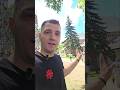 MĂNĂSTIREA SFÂNTUL IOAN CEL NOU #shorts #bogdanblog #ortodox