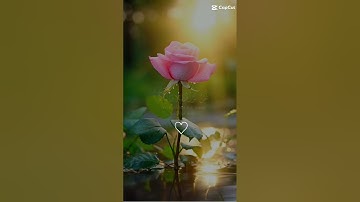 دقيقه من فضلك استمع القران الكريم