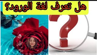 لحظة?ماذا تعرف عن لغة الورود؟ ??What do you know about the language of roses