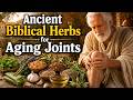 Ancient Biblical Herbs for Aging Joints: Natural Healing Secrets