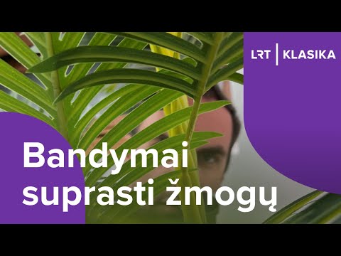 Video: Ar svarbu, iš kurios pusės pasiekiama pusiausvyros padėtis?