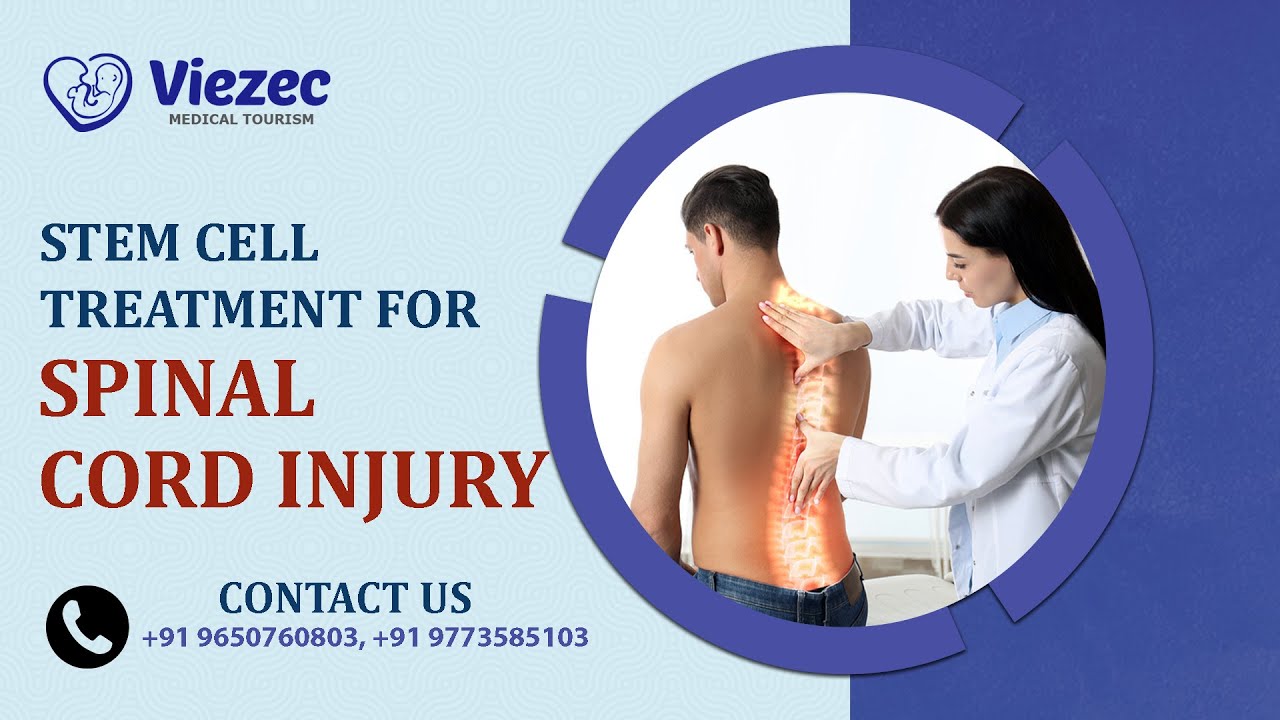 Stem Cell Therapy for Spinal Cord Injury in India | Treatments for ...