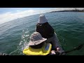 Catching Abalone with Kayak 카약타고 전복 잡기