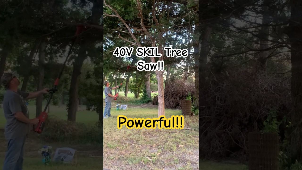 TESTING out Skil PWR CORE 40 Brushless battery POLE saw IN this OLD CEMETERY!   FREE cleanup!