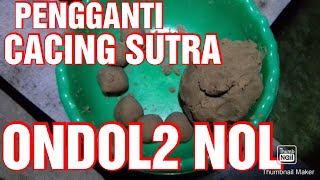PENGGANTI CACING SUTRA UNTUK ANAK GURAME