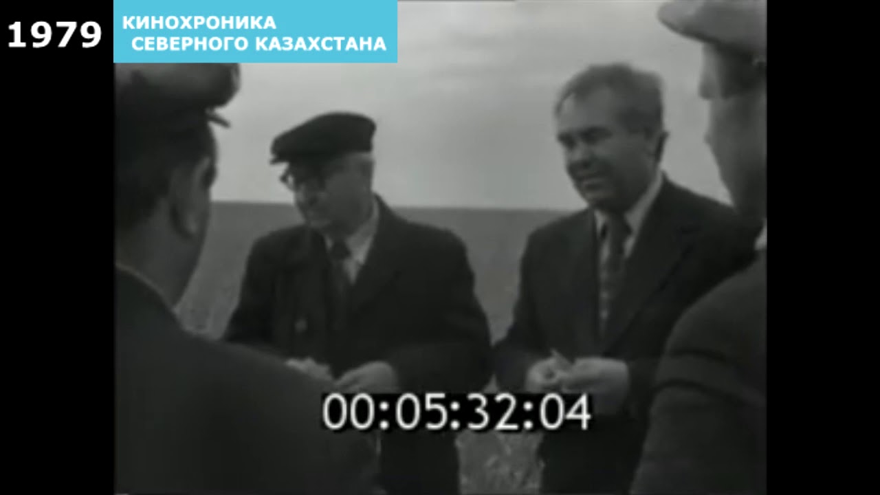 Совхоз золотая нива