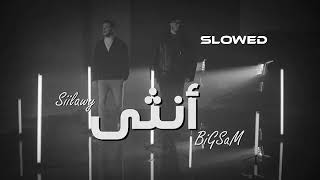 بيج سام و سيلاوي - انثى بطيء | Slowed