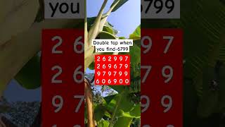 Double Tap When You Find-6799