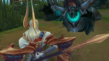 Secret champion animations