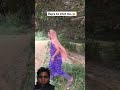 dehidf dks fkd fkd dk kd fgnen erkf🙂😋🤓😎😛🤠☹️☹️🤠🧐☺🥲🤗🥲😜🤓😍😜🧐😜😘😇🧐