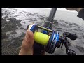 Float fishing for bass and lots of bait collecting shrimpspeelercrab lugworm sea fishing uk