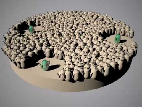 MultiScatter Test Collisions:08-collisions scale local ft