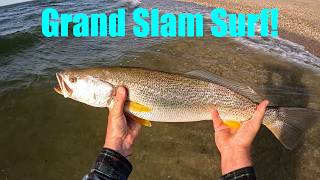 Best Surf Fishing in 45 Years for These Fish! 4-Species Grand Slam!
